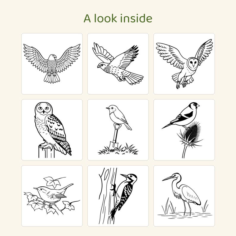 May include: A grid of nine black and white line art illustrations of various birds, including an eagle, owls, a woodpecker, and a heron, with the text A look inside at the top. Each square features a distinct bird species in a natural setting.