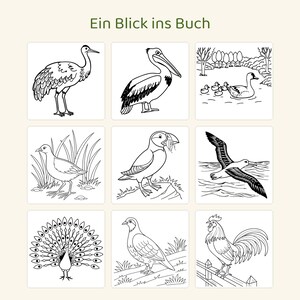 May include: A colouring page titled Ein Blick ins Buch featuring nine black and white line art illustrations of various birds including a crane, pelican, duck family, shorebird, puffin, albatross, peacock, pigeon, and a rooster on a fence.