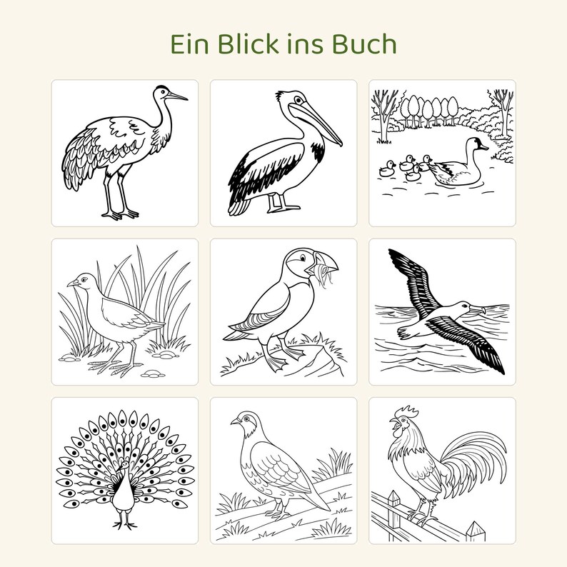 May include: A colouring page titled Ein Blick ins Buch featuring nine black and white line art illustrations of various birds including a crane, pelican, duck family, shorebird, puffin, albatross, peacock, pigeon, and a rooster on a fence.
