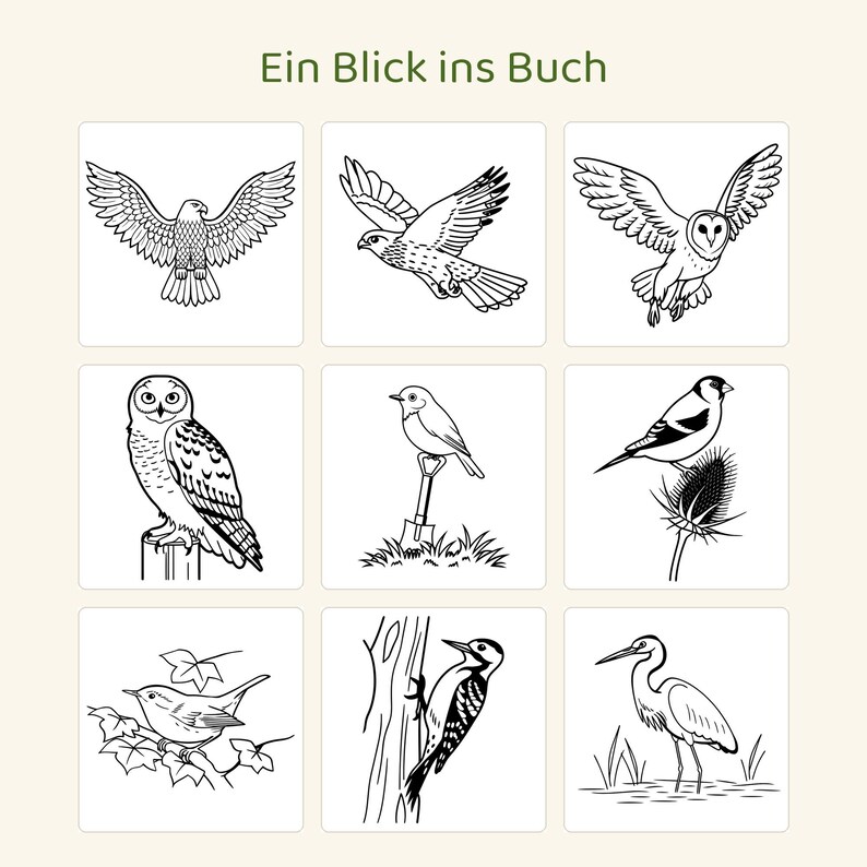 May include: A grid of nine black and white line art illustrations of various birds, including owls, a hawk, a woodpecker, and a heron. The text "Ein Blick ins Buch" is centred at the top of the page above the bird drawings.