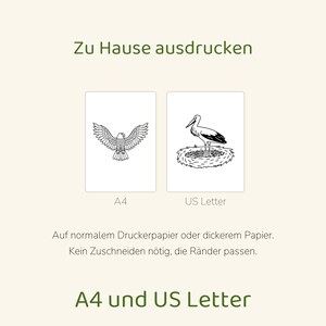 May include: A digital print file featuring two rectangular pages labelled A4 and US Letter. The A4 page displays a line drawing of an eagle with wings spread. The US Letter page shows a stork standing in a nest. Text includes Zu Hause ausdrucken, A4, US Letter, Auf normalem Druckerpapier oder dickerem Papier. Kein Zuschneiden n&ouml;tig, die R&auml;nder passen. A4 und US Letter.