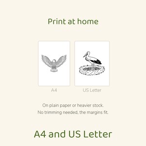 May include: Print at home digital file featuring an eagle illustration labeled A4 and a stork in a nest illustration labeled US Letter. Text includes Print at home, A4, US Letter, On plain paper or heavier stock. No trimming needed, the margins fit.