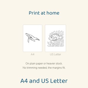 Puede incluir: Dos p&aacute;ginas imprimibles etiquetadas como Print at home, A4 y US Letter. Una p&aacute;gina muestra un dibujo lineal de una ballena, la otra un pez payaso en una an&eacute;mona. Texto: On plain paper or heavier stock. No trimming needed, the margins fit.