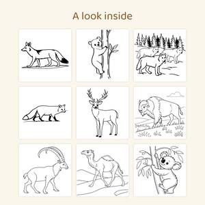May include: A coloring page titled A look inside featuring nine black and white line art illustrations of animals including a fox, a bear climbing a tree, wolves, a deer, a bison, an ibex, a camel, and a koala in a tree.