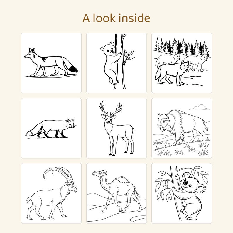 May include: A coloring page titled A look inside featuring nine black and white line art illustrations of animals including a fox, a bear climbing a tree, wolves, a deer, a bison, an ibex, a camel, and a koala in a tree.