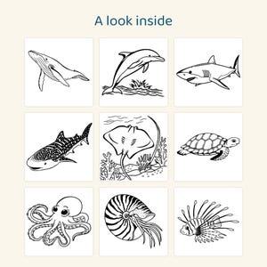 Puede incluir: Una cuadr&iacute;cula de nueve ilustraciones en blanco y negro de animales marinos que incluyen una ballena, delf&iacute;n, tibur&oacute;n, tibur&oacute;n ballena, raya, tortuga marina, pulpo, nautilus y pez le&oacute;n, con el texto A look inside arriba.