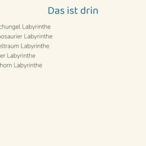 May include: A list titled Das ist drin featuring five bullet points: Dschungel Labyrinthe, Dinosaurier Labyrinthe, Weltraum Labyrinthe, Meer Labyrinthe, and Einhorn Labyrinthe, all written in dark teal text on a light cream background.
