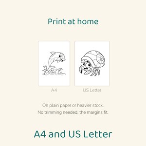 May include: Two printable coloring pages featuring a dolphin jumping from waves and a hermit crab. Text includes Print at home, A4, US Letter, On plain paper or heavier stock. No trimming needed, the margins fit. A4 and US Letter.