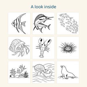 Puede incluir: Una cuadr&iacute;cula de nueve ilustraciones de arte lineal en blanco y negro con vida marina, incluyendo un pez &aacute;ngel, marl&iacute;n, banco de peces, cangrejo ermita&ntilde;o, langosta, erizo de mar, coral, nutria marina con concha y una foca. Texto A look inside.