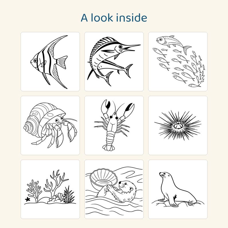 Puede incluir: Una cuadr&iacute;cula de nueve ilustraciones de arte lineal en blanco y negro con vida marina, incluyendo un pez &aacute;ngel, marl&iacute;n, banco de peces, cangrejo ermita&ntilde;o, langosta, erizo de mar, coral, nutria marina con concha y una foca. Texto A look inside.