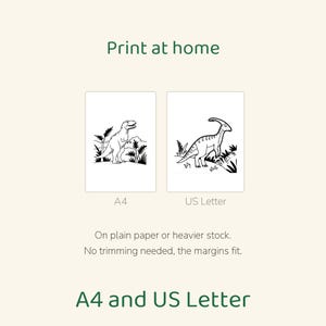 Puede incluir: Archivos digitales imprimibles con dibujos lineales de dinosaurios en blanco y negro. Incluye dos dise&ntilde;os rectangulares etiquetados como A4 y US Letter. Texto: Print at home, On plain paper or heavier stock. No trimming needed, the margins fit. A4 and US Letter.