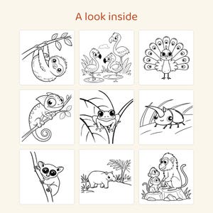 May include: A coloring book page titled A look inside featuring nine black and white line art illustrations of animals including a sloth, flamingos, a peacock, a chameleon, a frog, a beetle, a tarsier, a tapir, and monkeys.