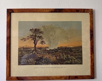 Lithographie Thomas Baines Victoria Falls 1865 - Plaque I Sunrise & Spray Cloud - Day and Son Londres - Art africain antique - cadre en ronce de bois