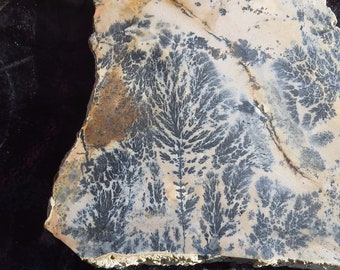 193 Gram Dendritic Fern Jasper Slab