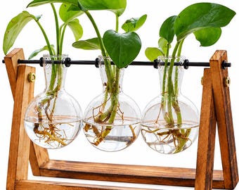Plant Terrarium with Wooden Stand, Glass Propagation Vase, Hydroponic Plant Holder, Bulb Vase Decor, Indoor Garden Gift