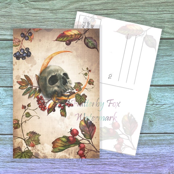 Autumn Moon Post Card Set | Autumn Skull Postcards | Gothic Autumn Post Car | Harvest Moon Post Card Set | Witchy Post Card | Witch Postcard