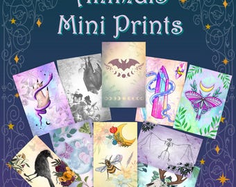 Animal Mini Prints | Animal Trading Cards | ACEO Print