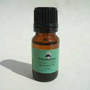 Zelda's Eucalyptus Essential Oils in Euro amber dropper bottle