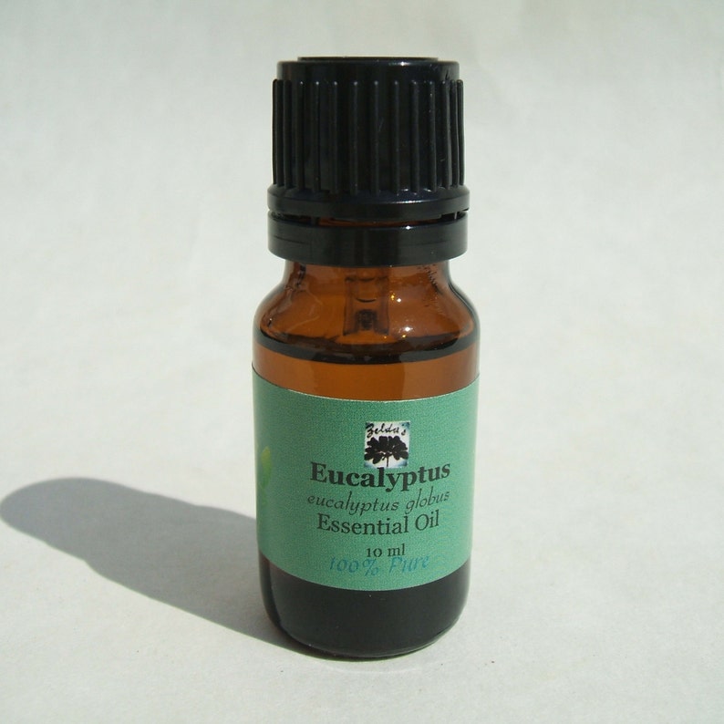 Zelda's Eucalyptus Essential Oils in Euro amber dropper bottle