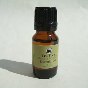 Zelda's Tea Tree Essential Oils in Euro amber dropper bottle