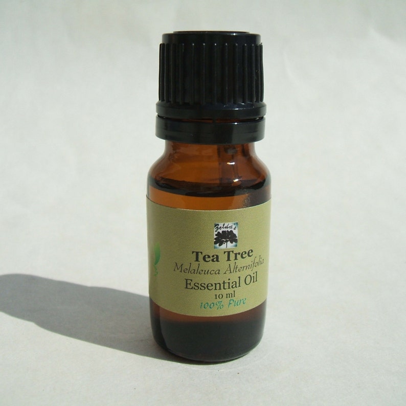 Zelda's Tea Tree Essential Oils in Euro amber dropper bottle