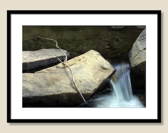 Lincoln Creek