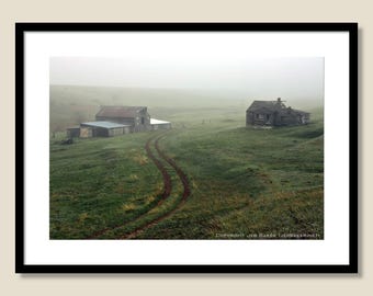 Morning Fog at Lindsay Ranch