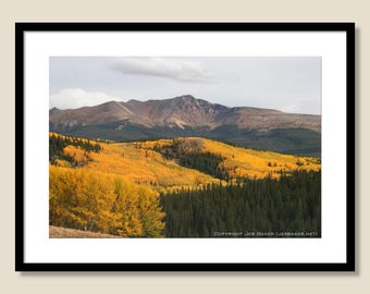 Fall along Cebolla Creek