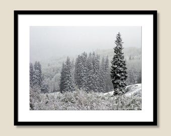Spring Snow on Kebler Pass