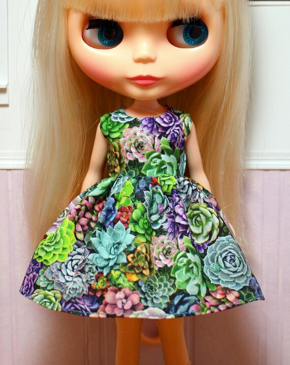 green emerald velvet dress Aeonium 'Wedding Dress' 4 inch