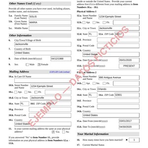 May include: A page of Form I-130, Edition 04/01/24, titled Part 2. Information About You (Petitioner). The document contains fields for Other Names Used, Other Information, Mailing Address, Address History, and Marital Information with sample text.