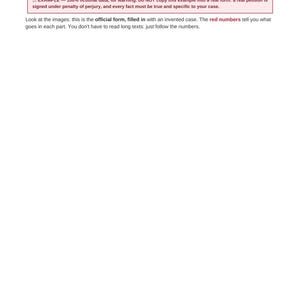 May include: A document page titled THE FORM, PAGE BY PAGE, featuring a maroon-bordered box with a warning about fictional data and perjury. Below, text explains that red numbers guide the user through the official form process.