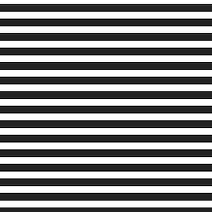 May include: Black and white horizontal stripes pattern.