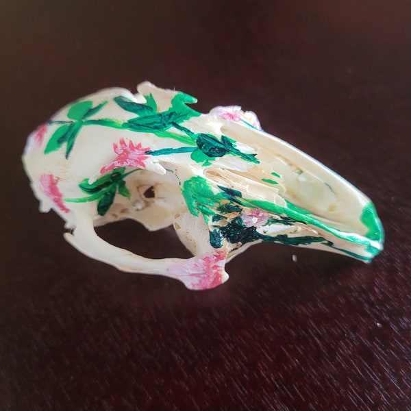 Hand Painted Rabbit Skull - Sustainably Sourced