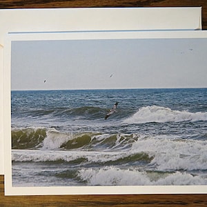 Pelican Cruising Beach, biglietto d'auguri con foto, da incorniciare, invito per crociera, pensando a te, grazie