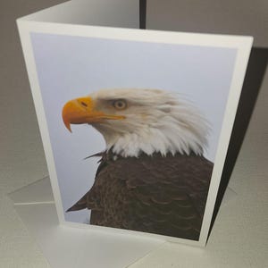 Weißkopfseeadler, Vogel, Grußkarte mit Foto, zum Einrahmen, denkt an Dich, danke