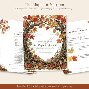 The Maple in Autumn Field Notebook | Nature Study Unit Printable | Poem Copywork Walk Cards Journal Charlotte Mason Homeschool