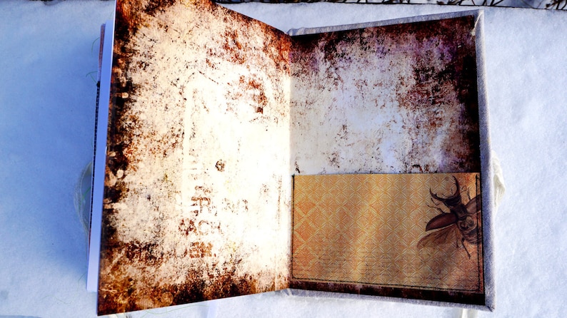 May include: Open journal with aged, textured pages. The interior features a pocket with a patterned design and a beetle illustration. The pages have a distressed, vintage appearance with brown and white tones.
