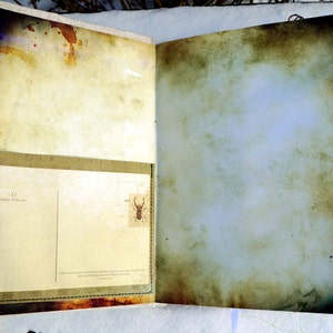 May include: Open journal with aged paper pages and a pocket containing a vintage postcard with an insect illustration. The journal has a fabric cover and a ribbon tie. The pages have a distressed, antique look with brown and yellow stains.
