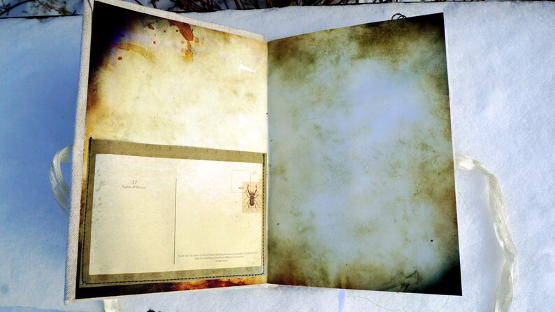 May include: Open journal with aged paper pages and a pocket containing a vintage postcard with an insect illustration. The journal has a fabric cover and a ribbon tie. The pages have a distressed, antique look with brown and yellow stains.
