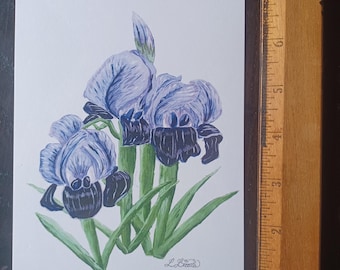 Print of iris painting