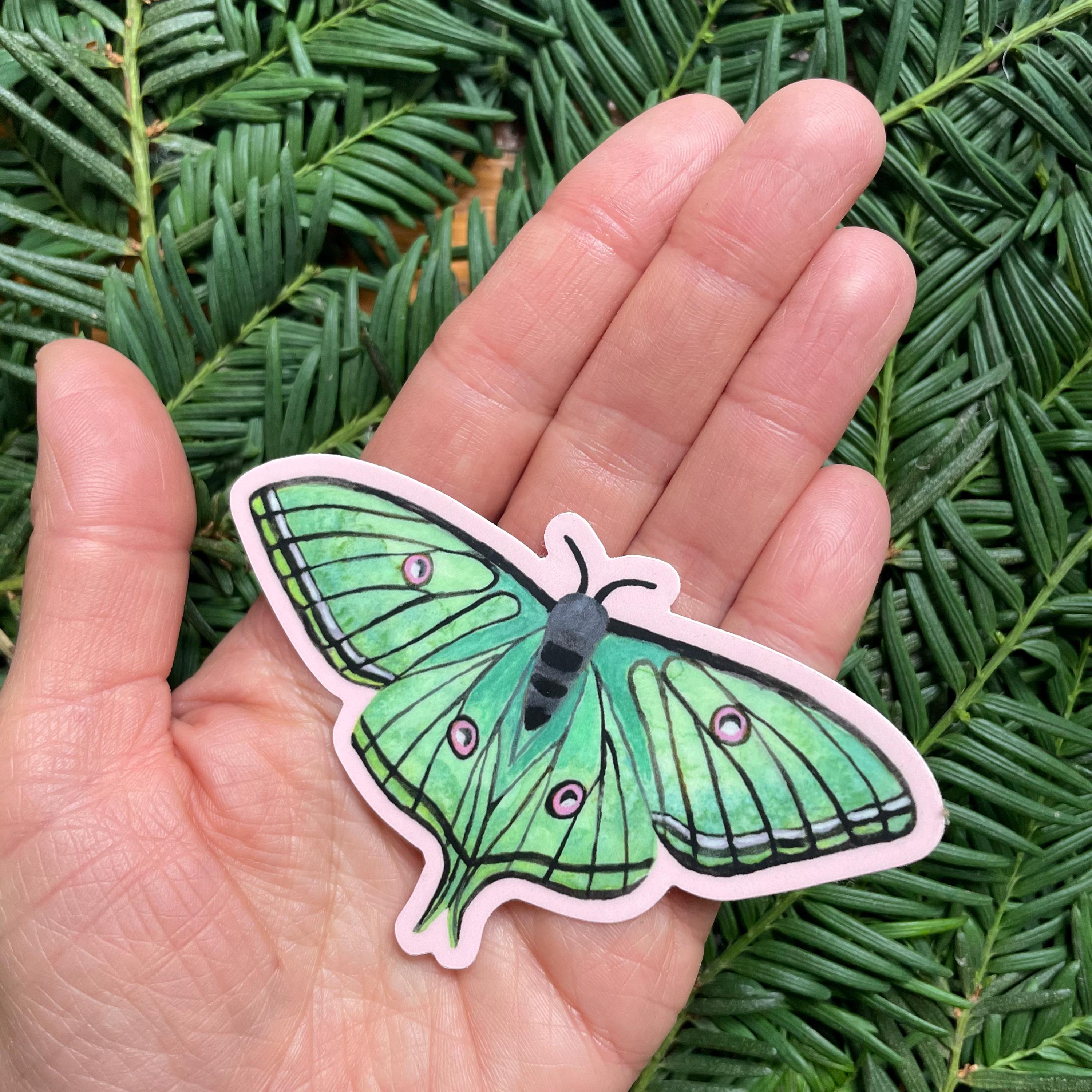 Watercolor Luna Moth Sticker, Laptop Decal - Etsy