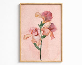 Garden Study No. 4  | Watercolor Floral | Botanical Print | Irises