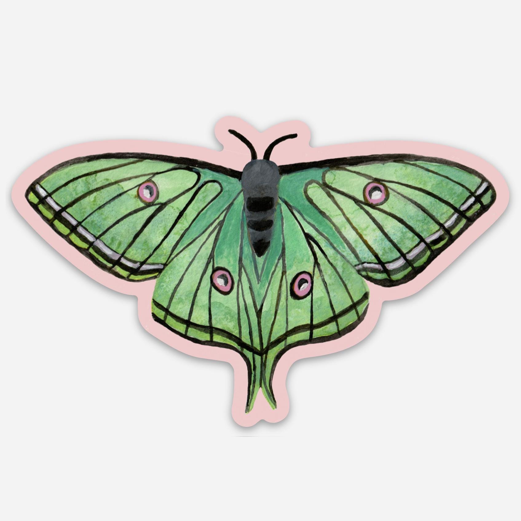 Watercolor Luna Moth Sticker, Laptop Decal - Etsy