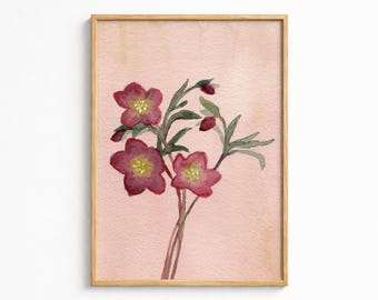 Garden Study No. 6 | Original 5x7 Watercolor Painting | Small Botanical Painting | Hellebores