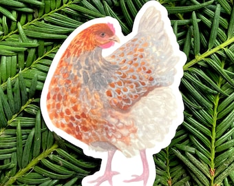 Hen Sticker, Watercolor Chicken Decal, Laptop or Water Bottle