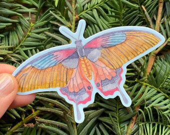 Watercolor Butterfly Sticker, Hand-Painted Vinyl Decal