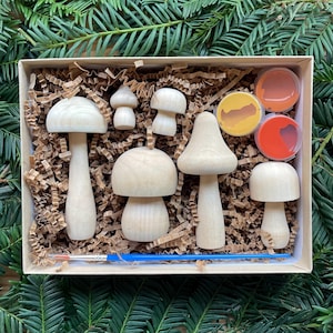 Mushroom Craft Kit, Craft Kit Gift, Mushroom Decor – adult craft kit