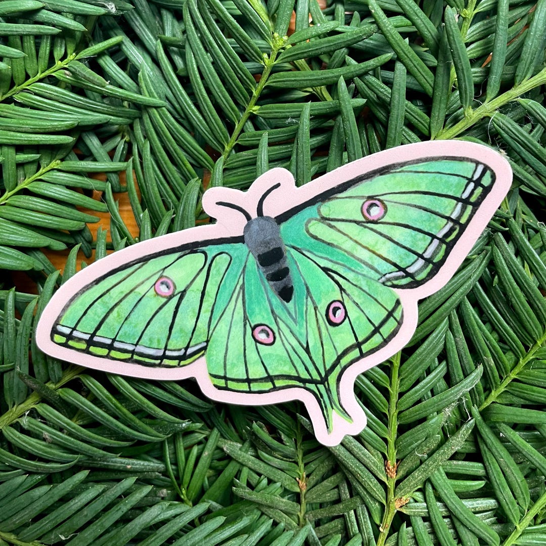 Watercolor Luna Moth Sticker, Laptop Decal - Etsy