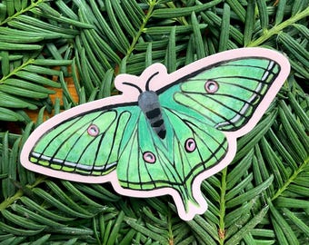 Watercolor Luna Moth Sticker, Laptop Decal
